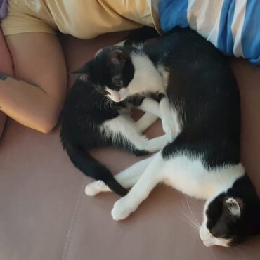 🐾❤️Grüße von Emma & Rocket