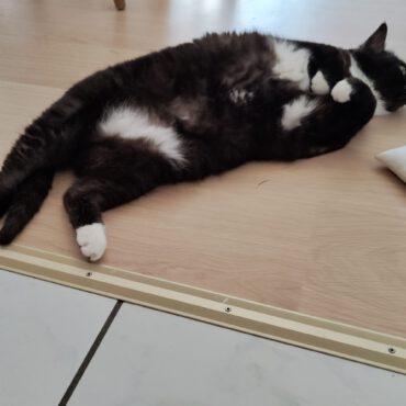 🐾❤️Grüße von Lucy