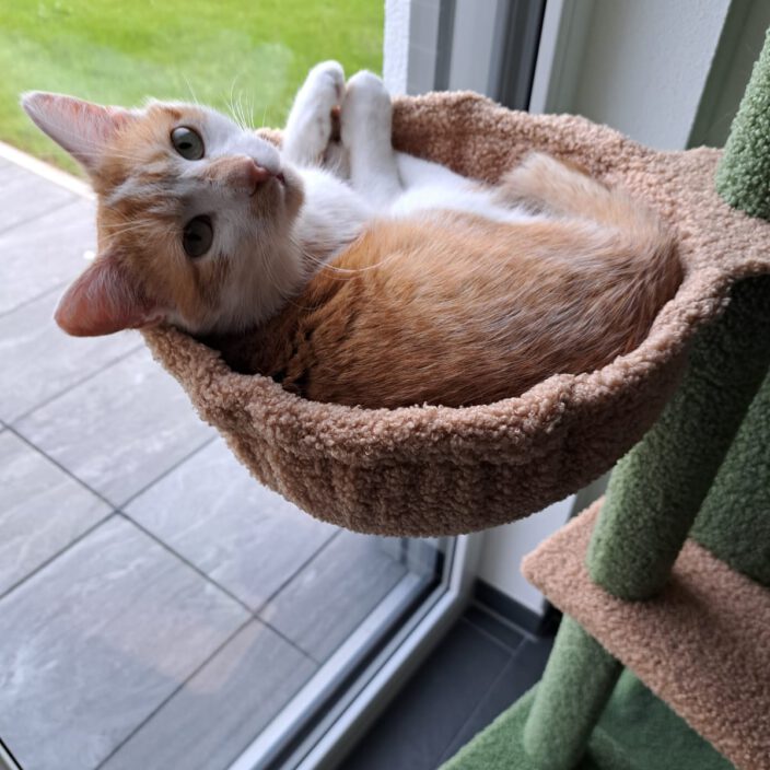 🐾❤️Grüße von Lio❤️🐾