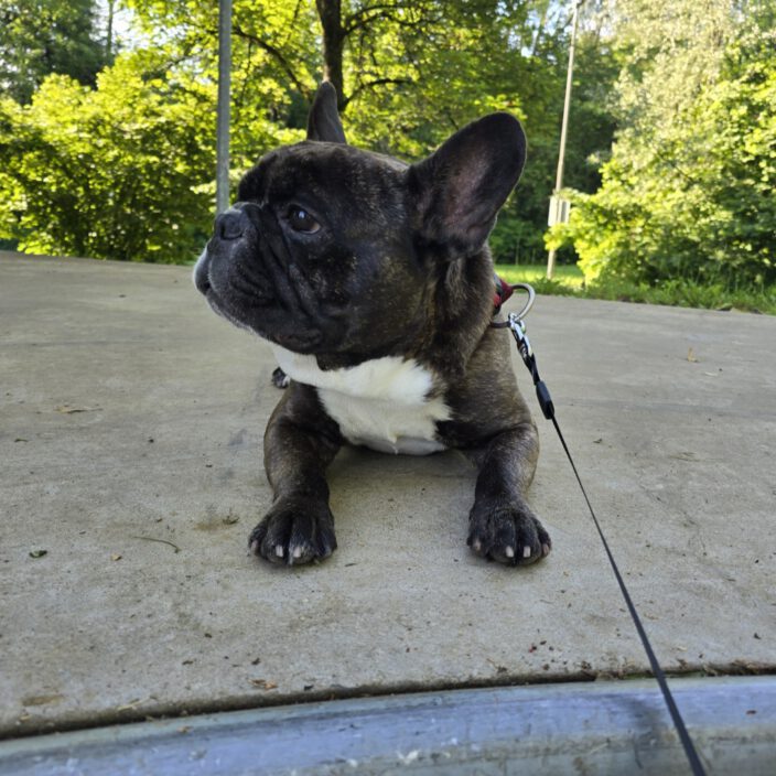 🐾❤️Grüße von Jacky❤️🐾