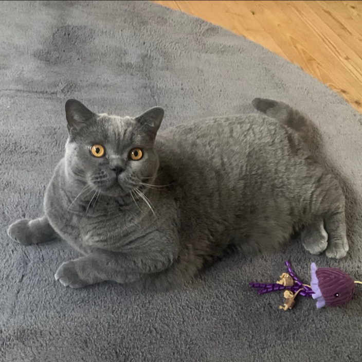 🐾❤️Grüße von Bennie❤️🐾