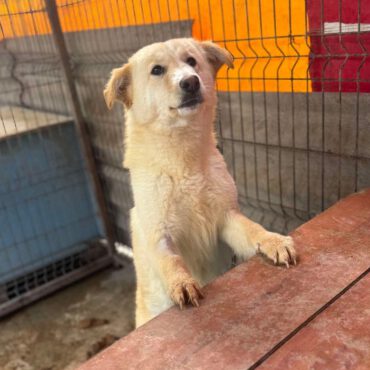 Elsa – bald in Spaichingen!
