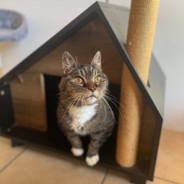 Xena – Seniorin