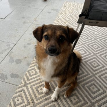 Kiro